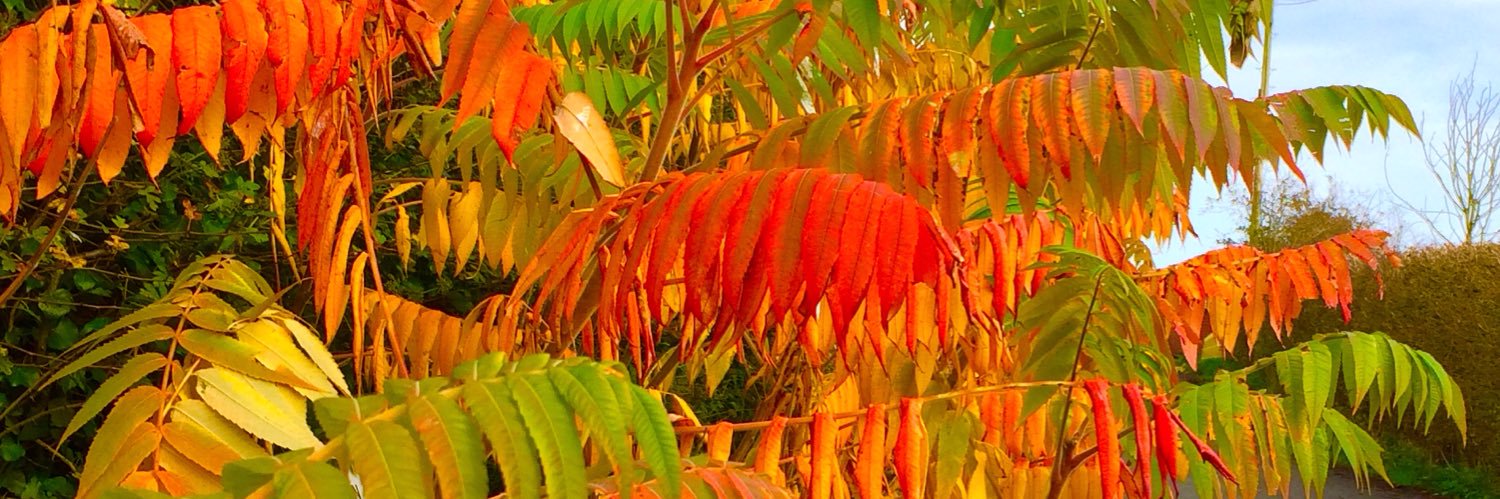 Bails1970's profile banner image