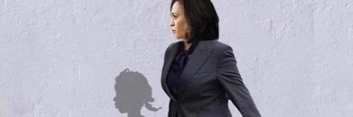 Lisa Brewington banner