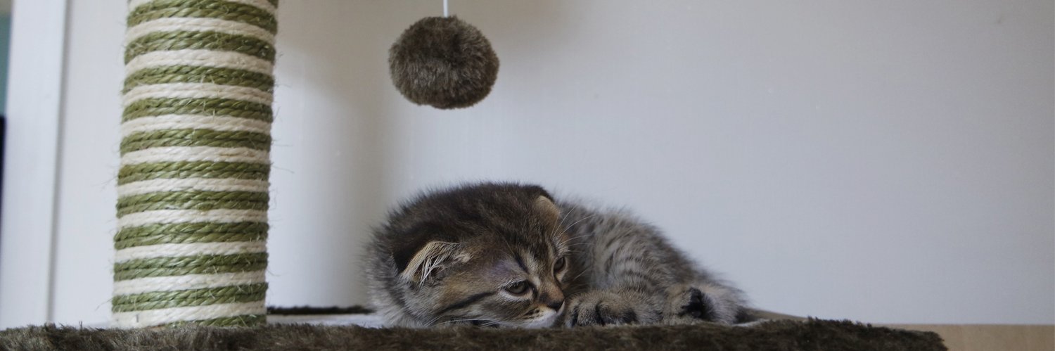 2ndsep2017's profile banner image