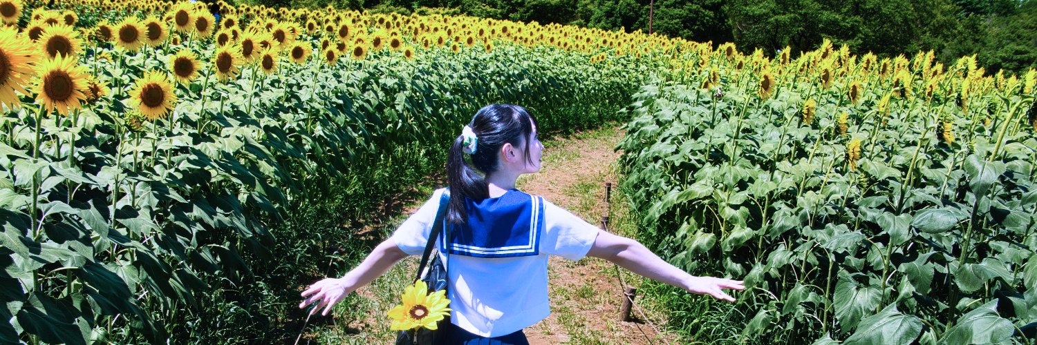 TAM_kameko's profile banner image