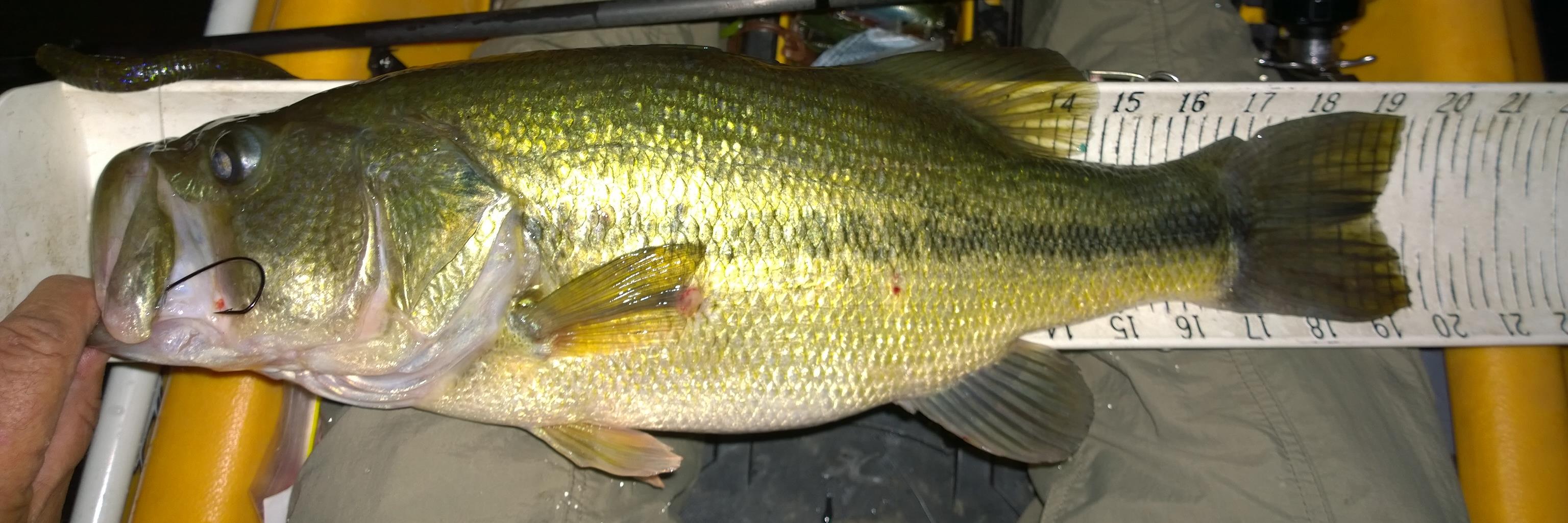 bryanrowfishing's profile banner image