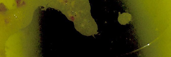 ShrekDoll's profile banner image