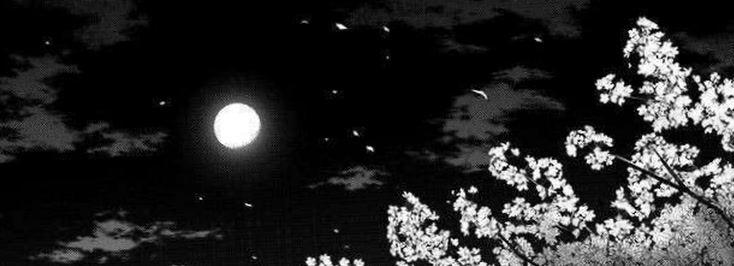 TheFilmMixer01's profile banner image