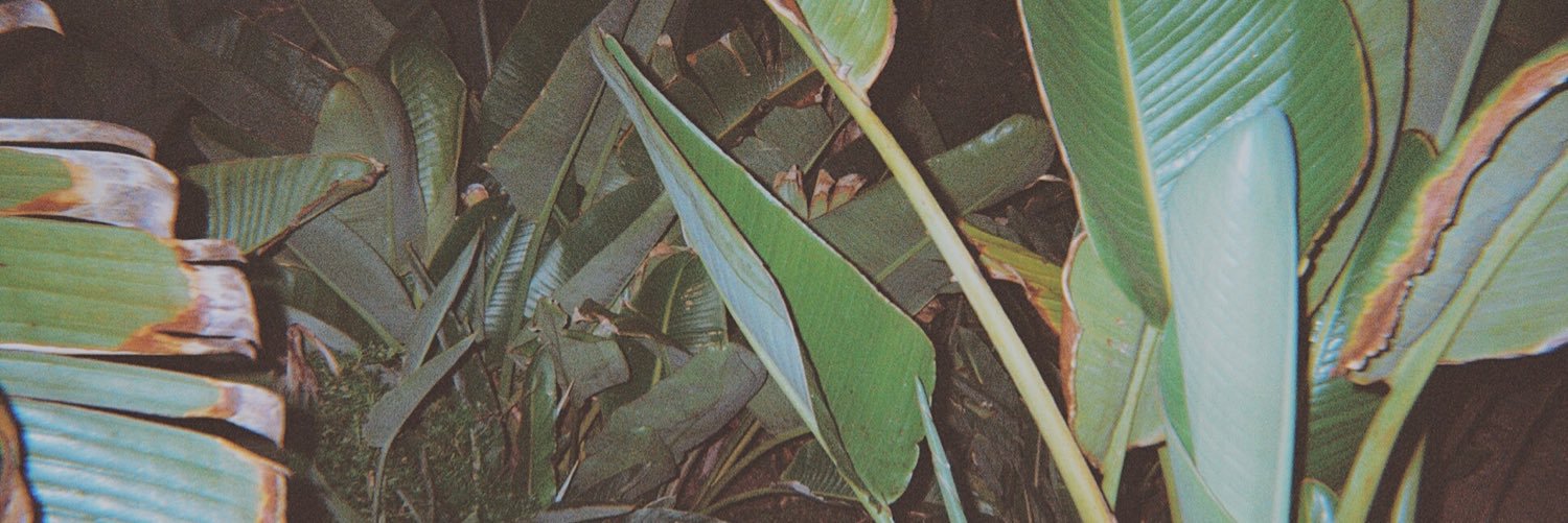 Sam_dameshek's profile banner image