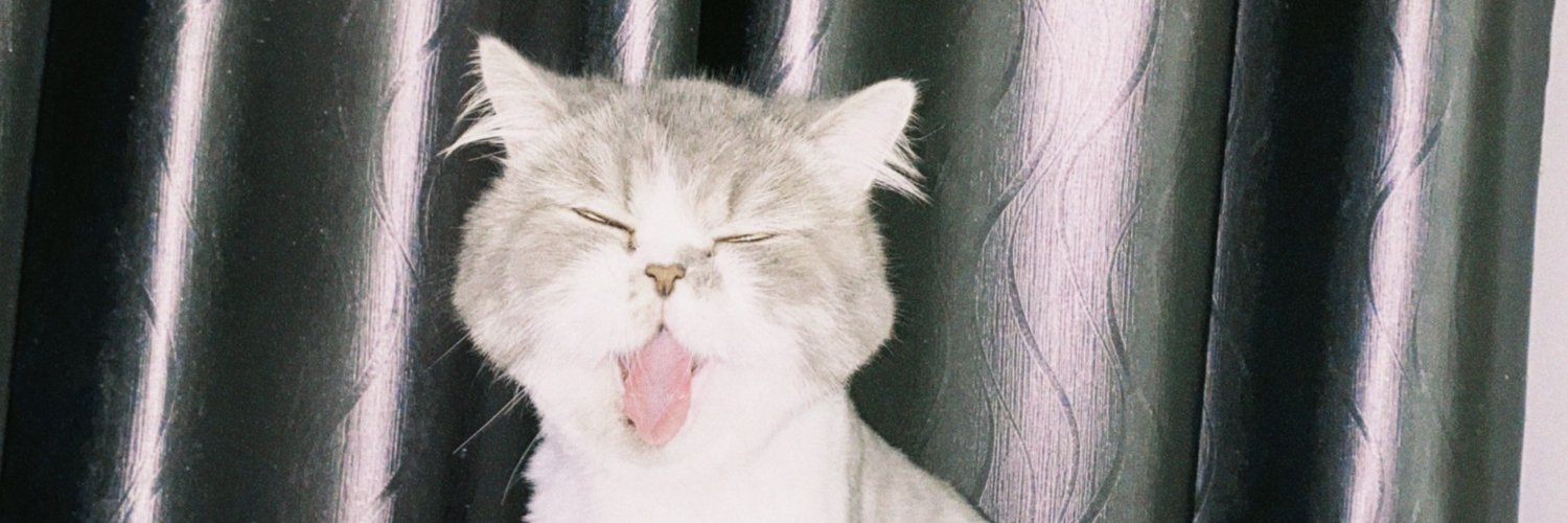 beebbeebxoxo's profile banner image