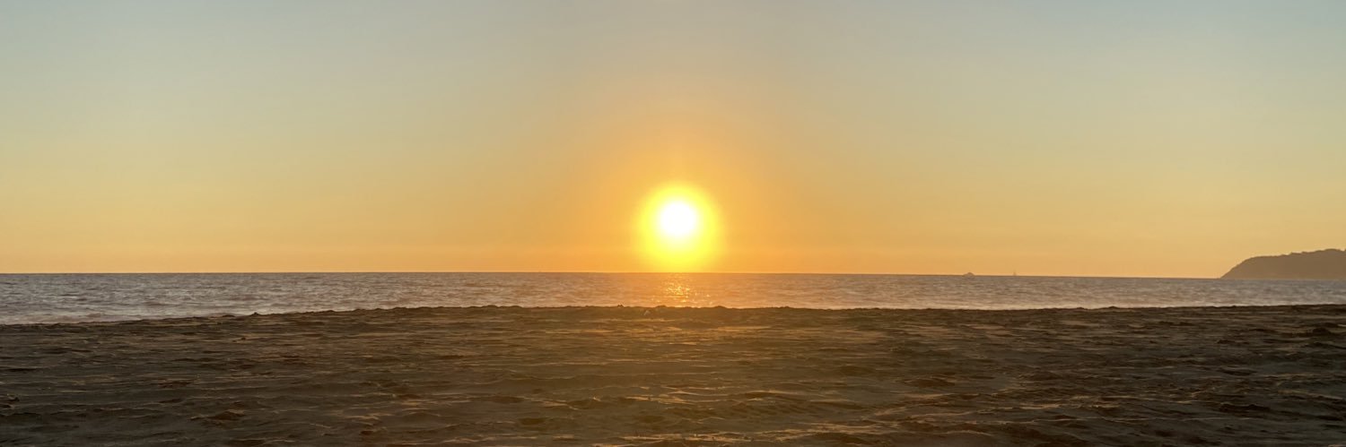 saravigon's profile banner image