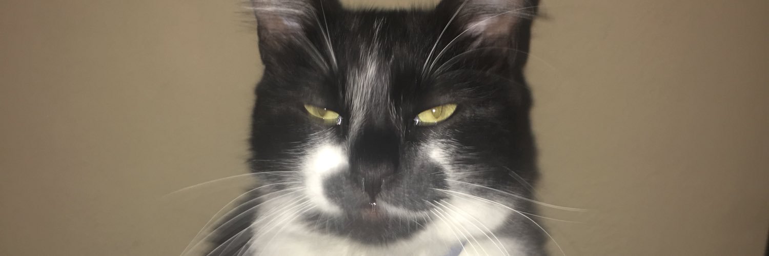 1Picthun's profile banner image