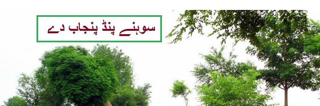 PAKISTANI077's profile banner image