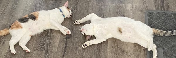 WaslyCastillo Profile Banner