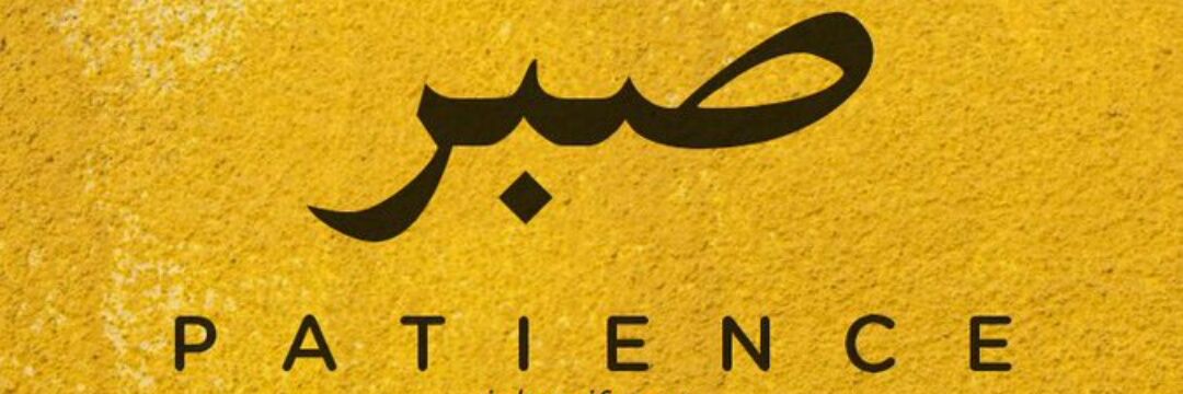 _______ali's profile banner image