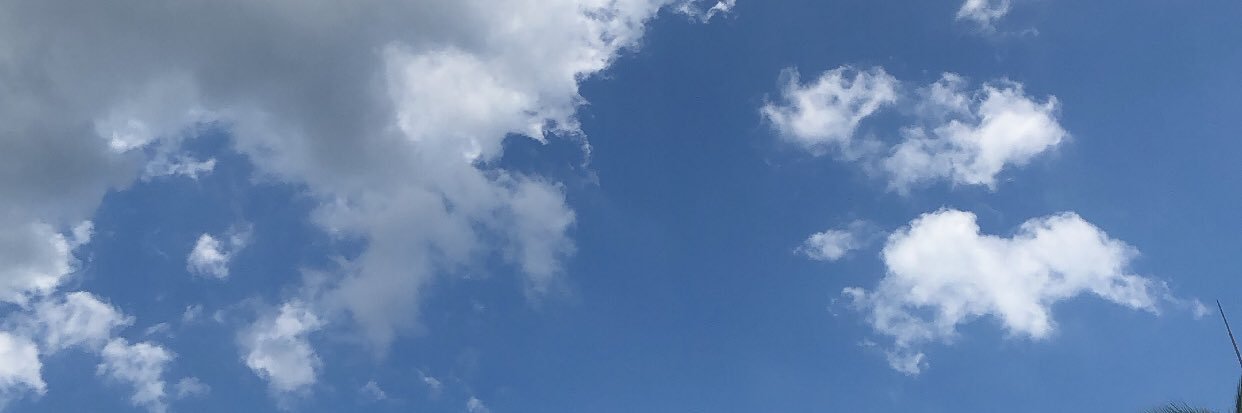 _ralphdeoso's profile banner image