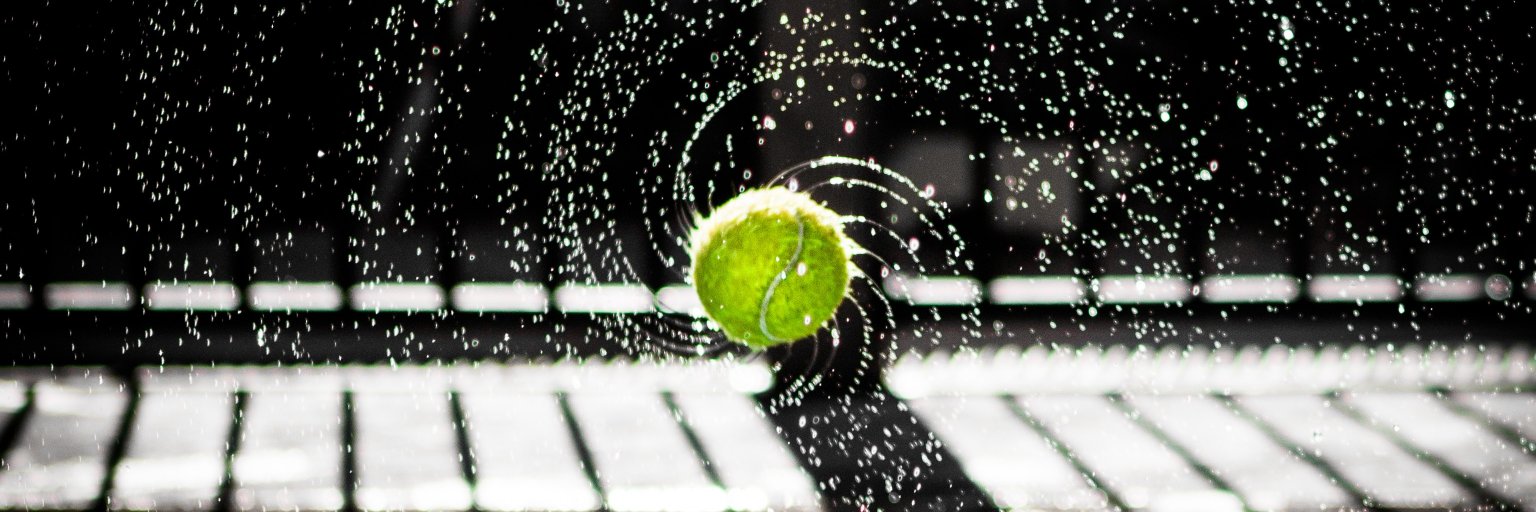 Apolline Merle banner