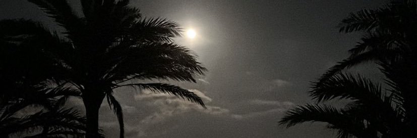 _aslea's profile banner image