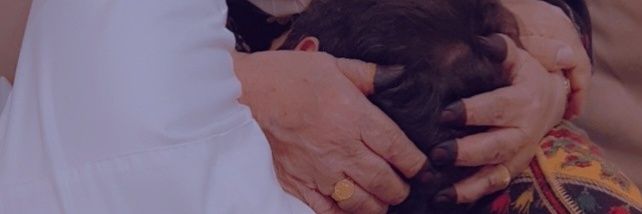 cocopilot310's profile banner image