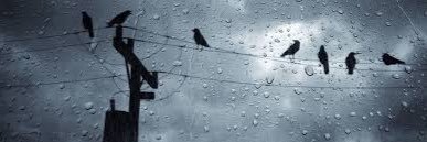 RandomTestUser banner