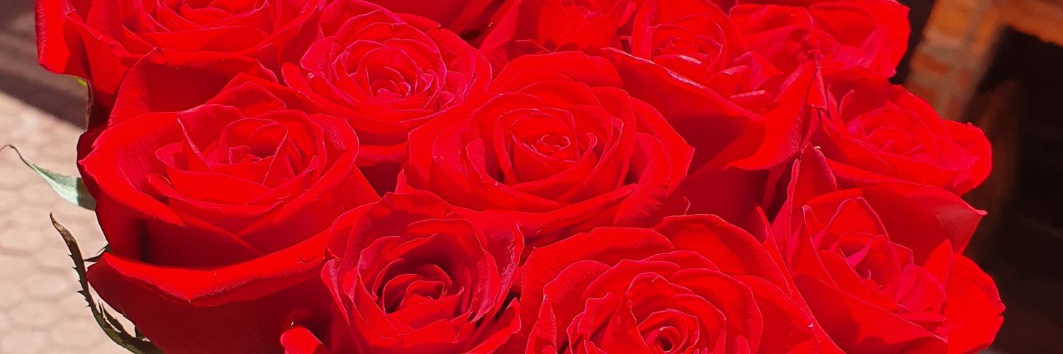 MapherHernan's profile banner image
