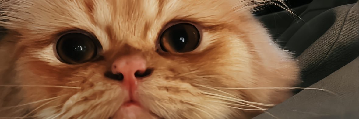 Crv_ktt's profile banner image