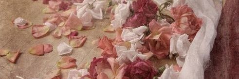 oo_sjo's profile banner image