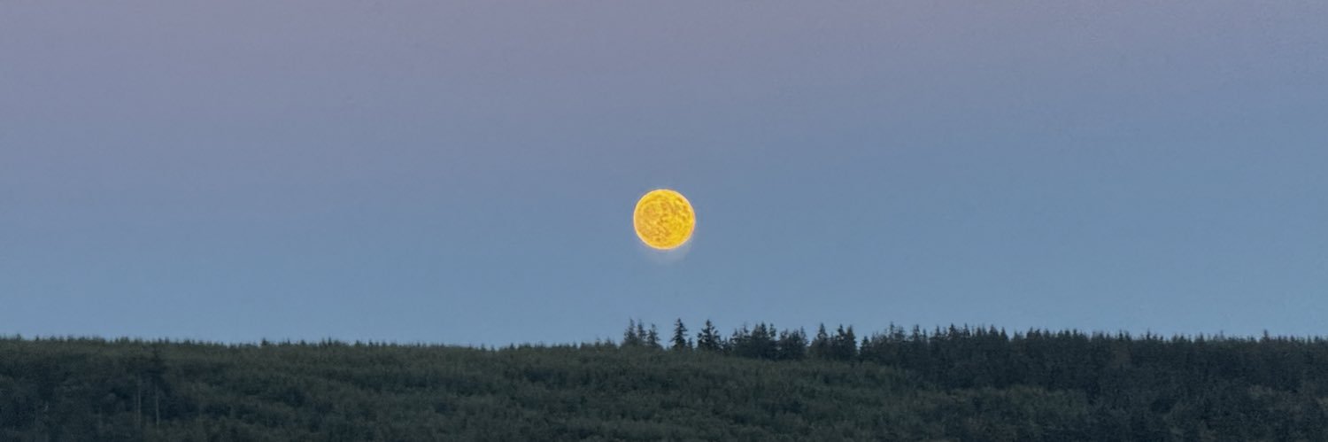 Cole_Eichacker's profile banner image