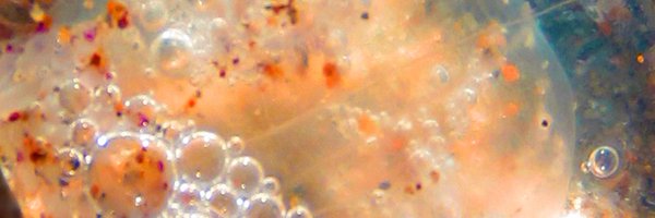 dnatimes Profile Banner