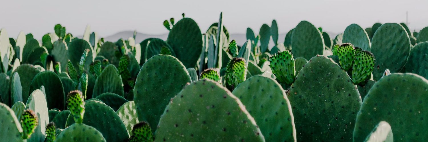 scarletonorio's profile banner image