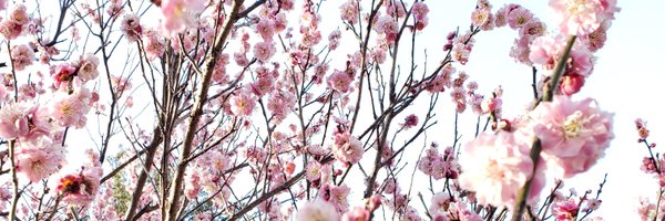 isacodes Profile Banner