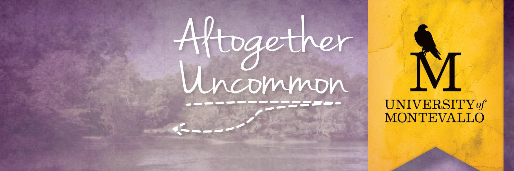 Jennifer Alexiou-Ray banner