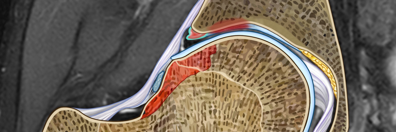 Dr Joshua Heerey banner