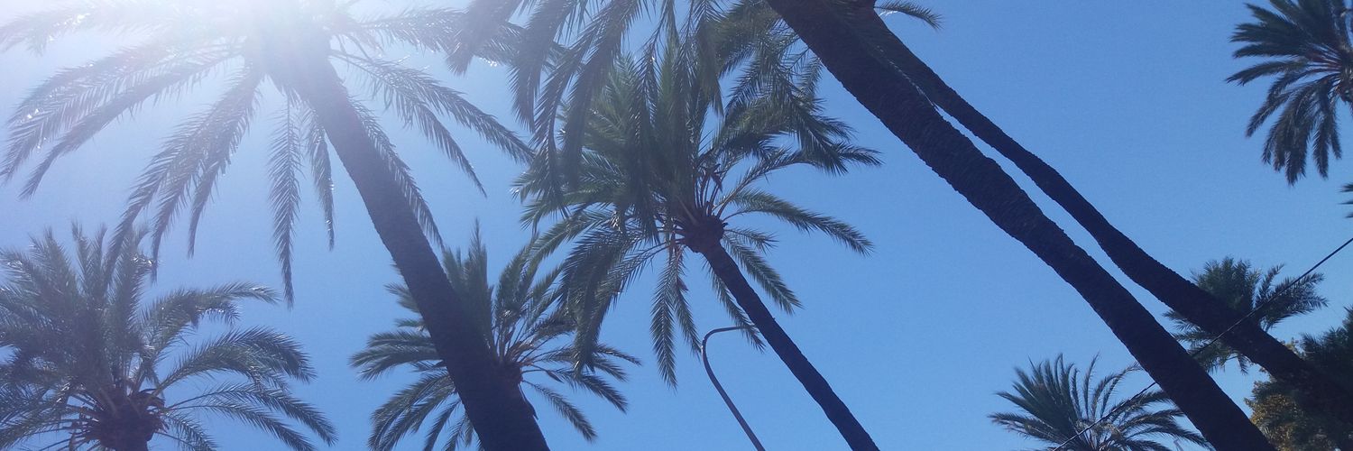 AngieRenaudin's profile banner image
