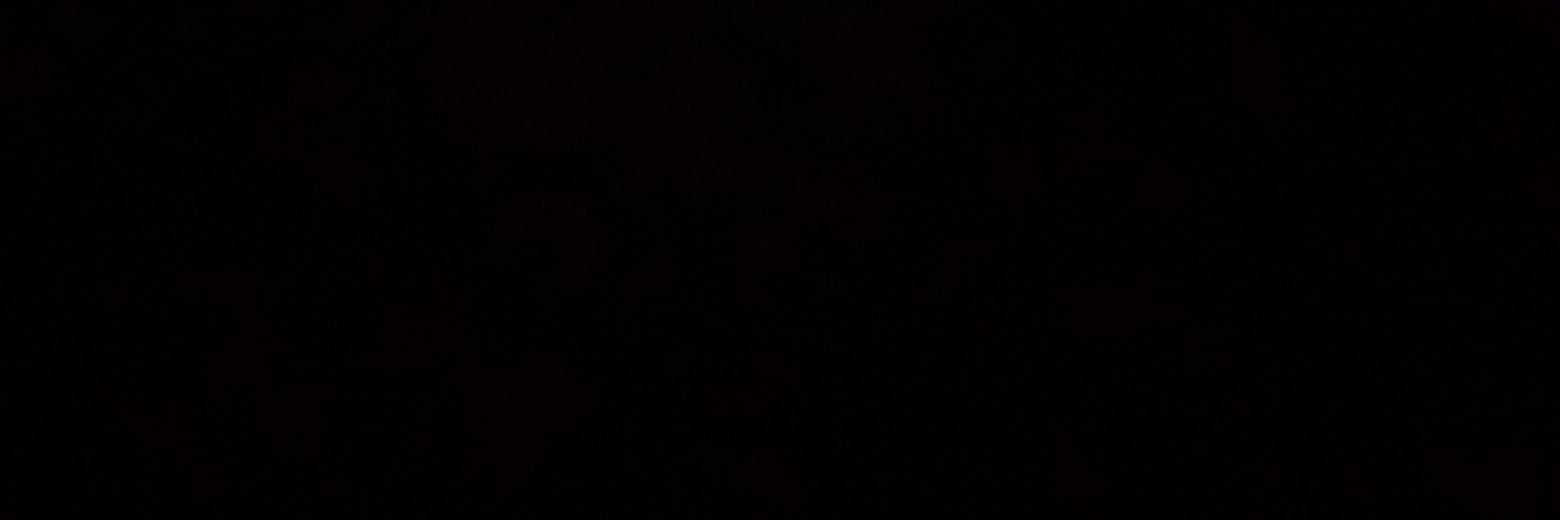 nestingworks_dg's profile banner image