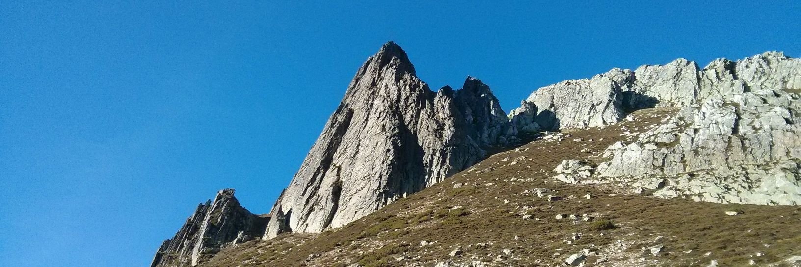 rodrigo jose sanchez banner