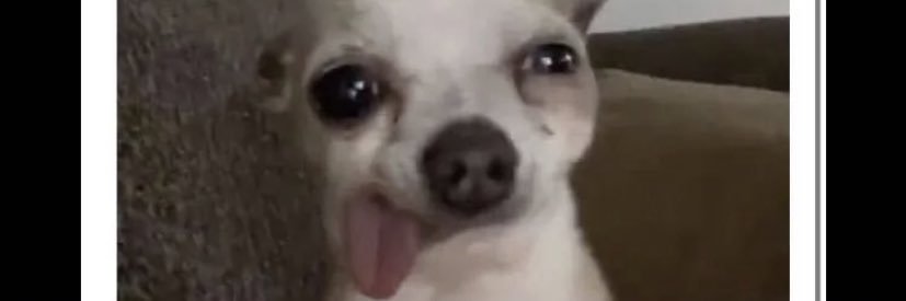 imnotcleopatra_'s profile banner image