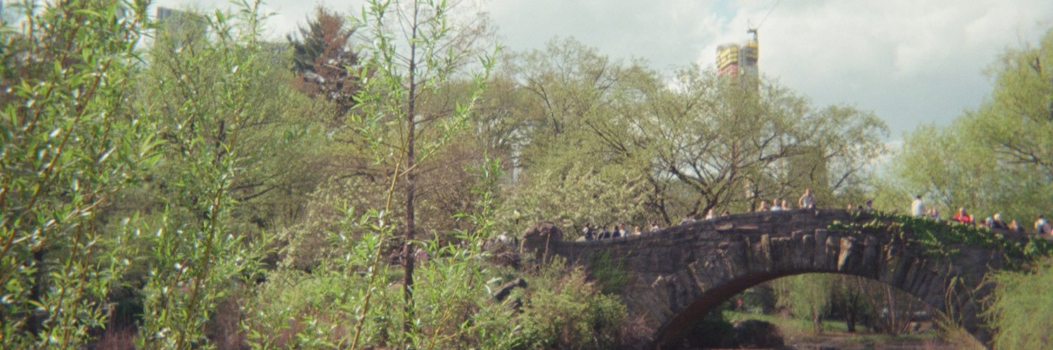 MadelineCondor's profile banner image