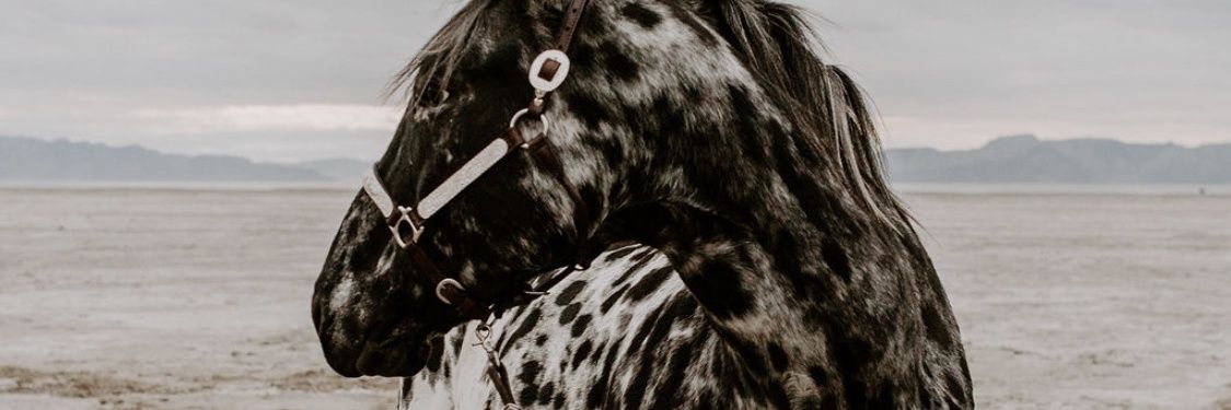 JodyEdwards1's profile banner image