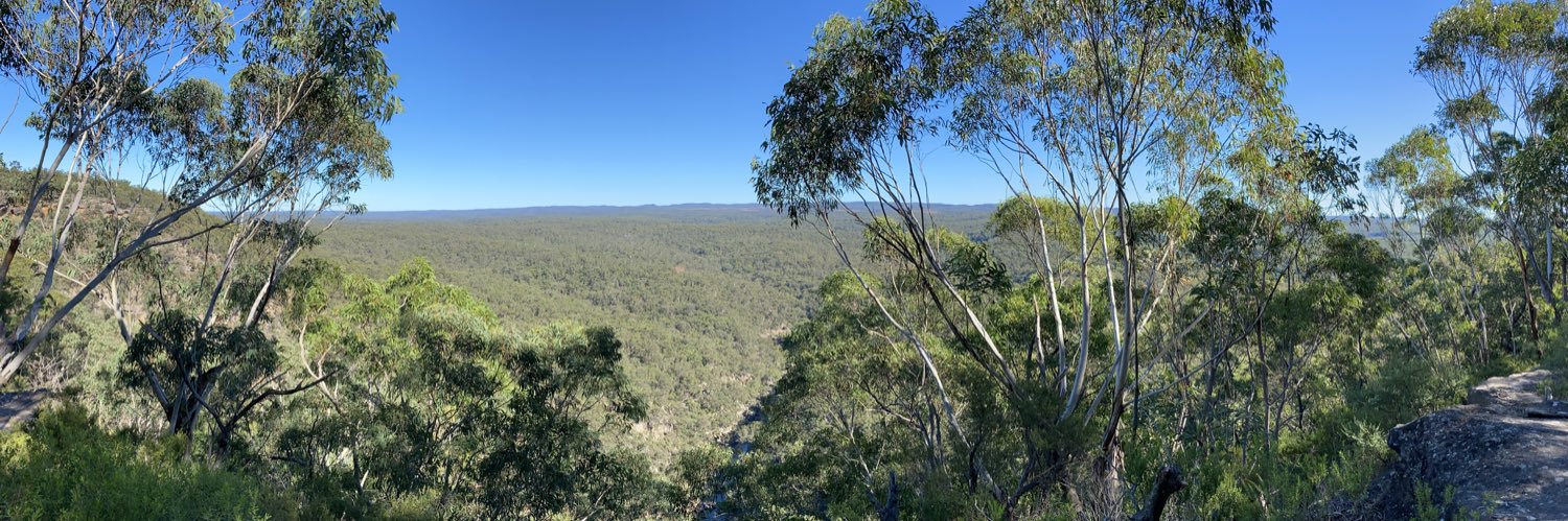 Nicky Alsemgeest banner