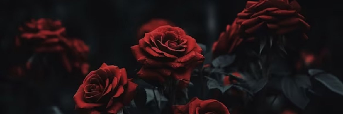 riaaa2093's profile banner image