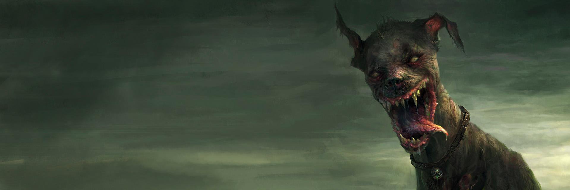 RandoEncounter's profile banner image