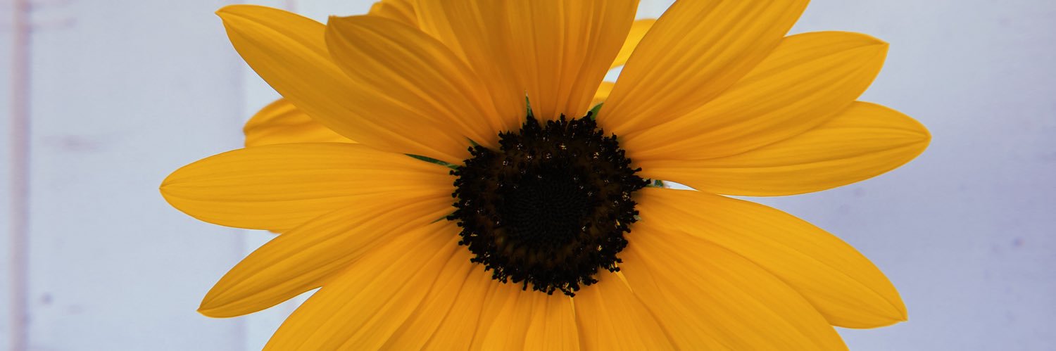 ryanbroussard_'s profile banner image