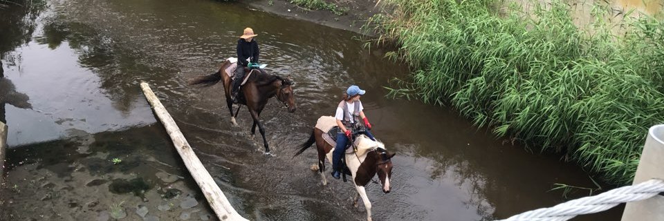 키레아キレア banner