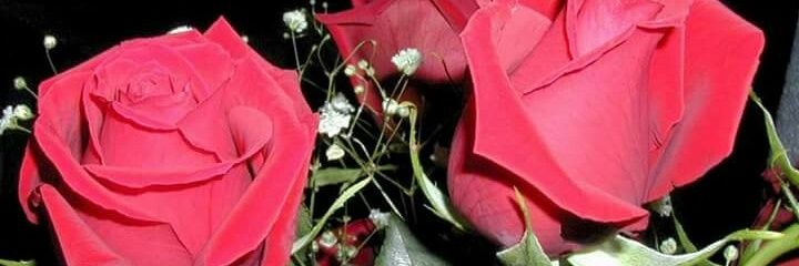 asishkumar225's profile banner image