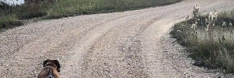 CherokeeCam44's profile banner image