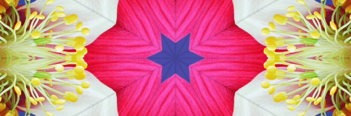 e8d85b24924e46a's profile banner image