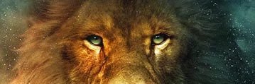Alpkayaaslan66's profile banner image