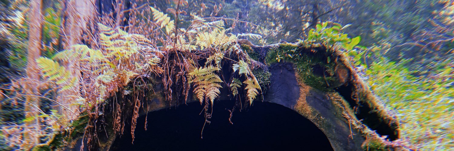 notfutz's profile banner image
