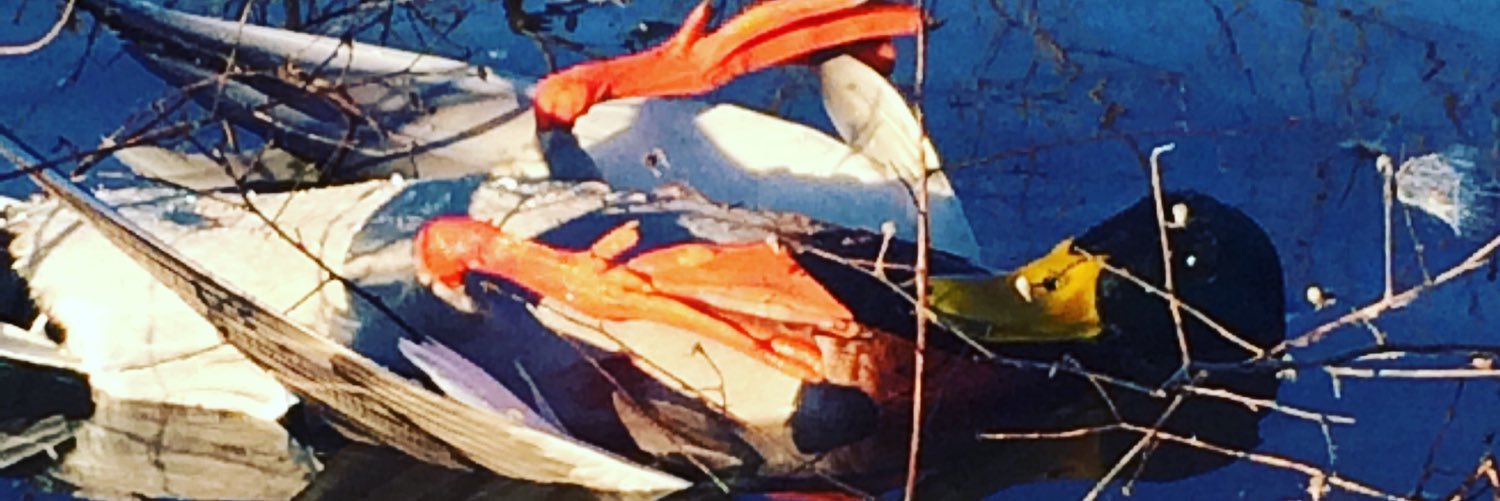 bpweb23's profile banner image