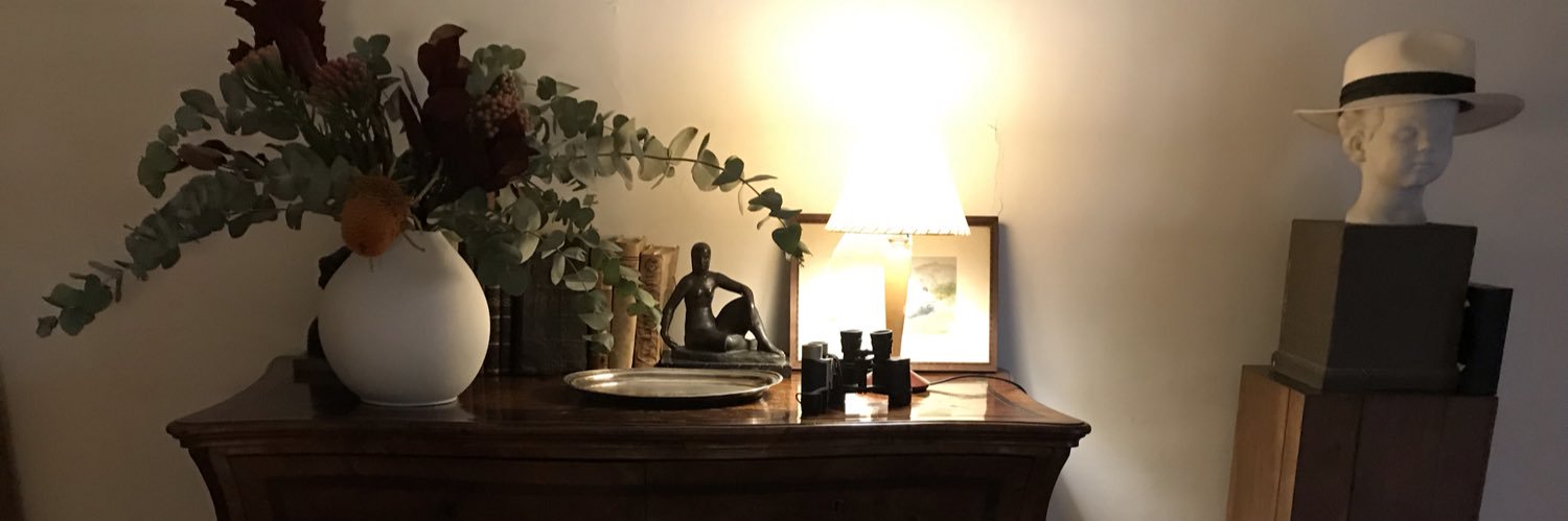 AriadnaCanadell's profile banner image