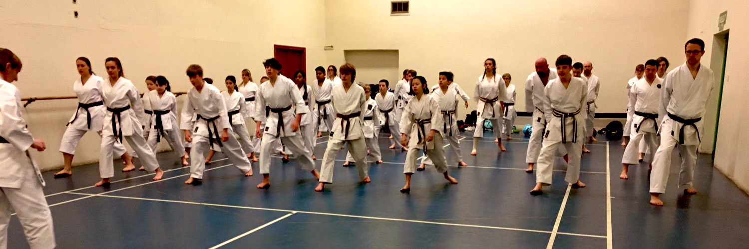 Narberth Karate banner