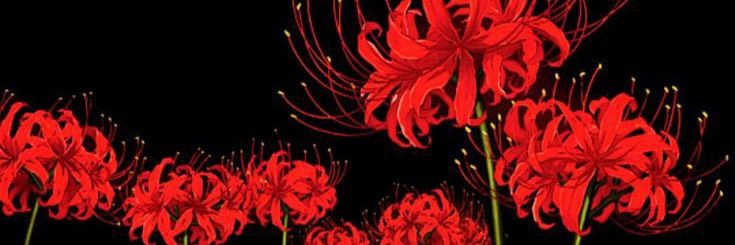 obsidian_28's profile banner image