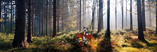 williamhui Profile Banner