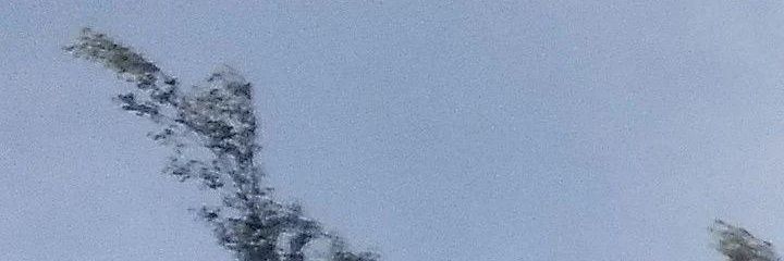 itsamyag2_'s profile banner image